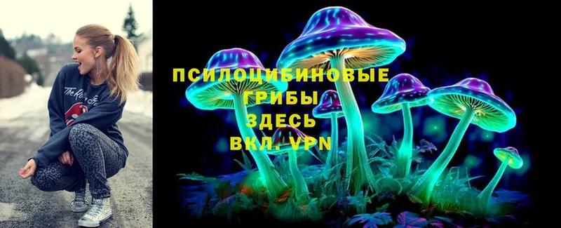 Галлюциногенные грибы MAGIC MUSHROOMS  где продают наркотики  ОМГ ОМГ ССЫЛКА  Нефтеюганск 